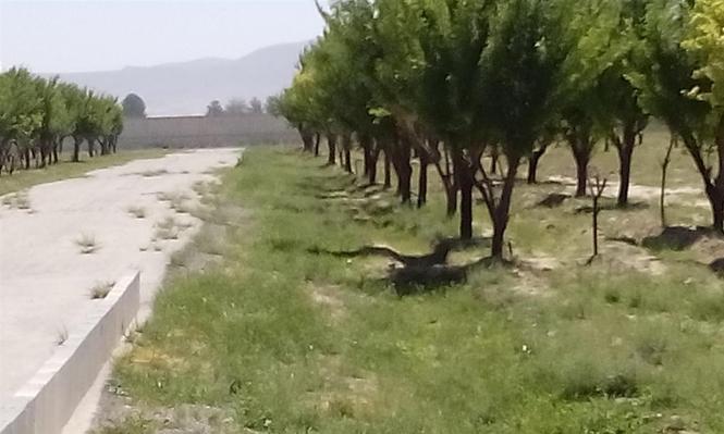 زمین دیوارکشی با ویلا 35500 متر مربع