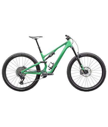 2025 Specialized Stumpjumper 15 Expert Mountain Bike