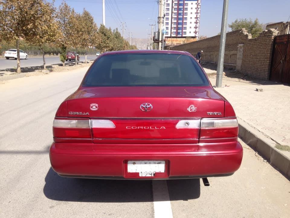 كرولا-كانادايي