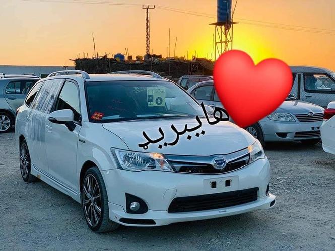 نوی دکانټینر دخولی هایبریډ فیلډر