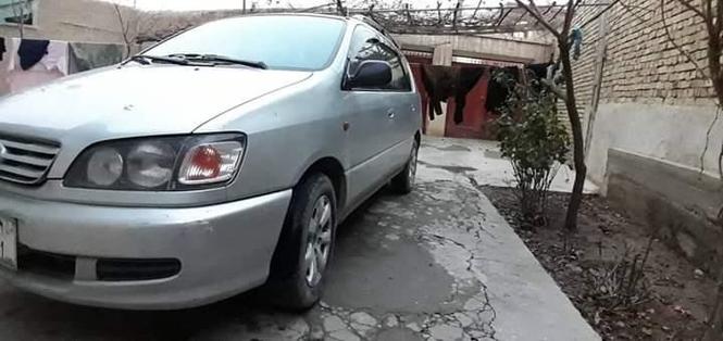 موتر پکنیک