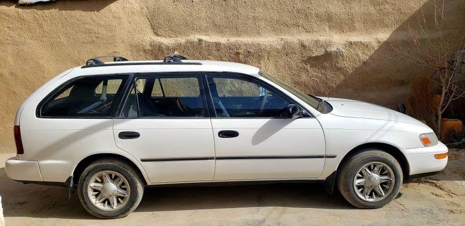 کاناډایی-سراچه