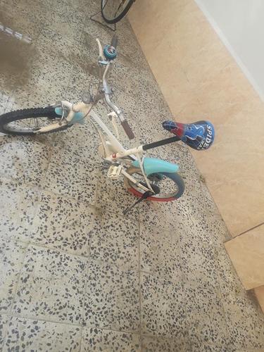 دغه جاپانی بایسکلان خرسوم