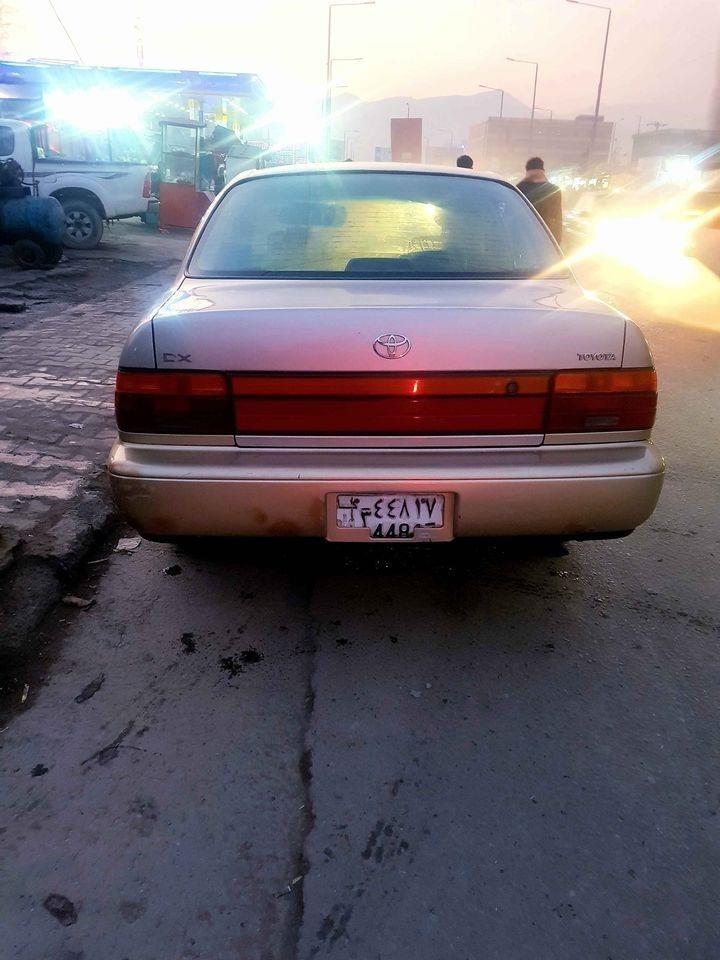 کرولایی-کانادایی