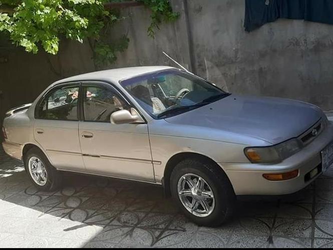 کرولای کانادایی