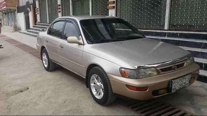 کرولای کانادایی