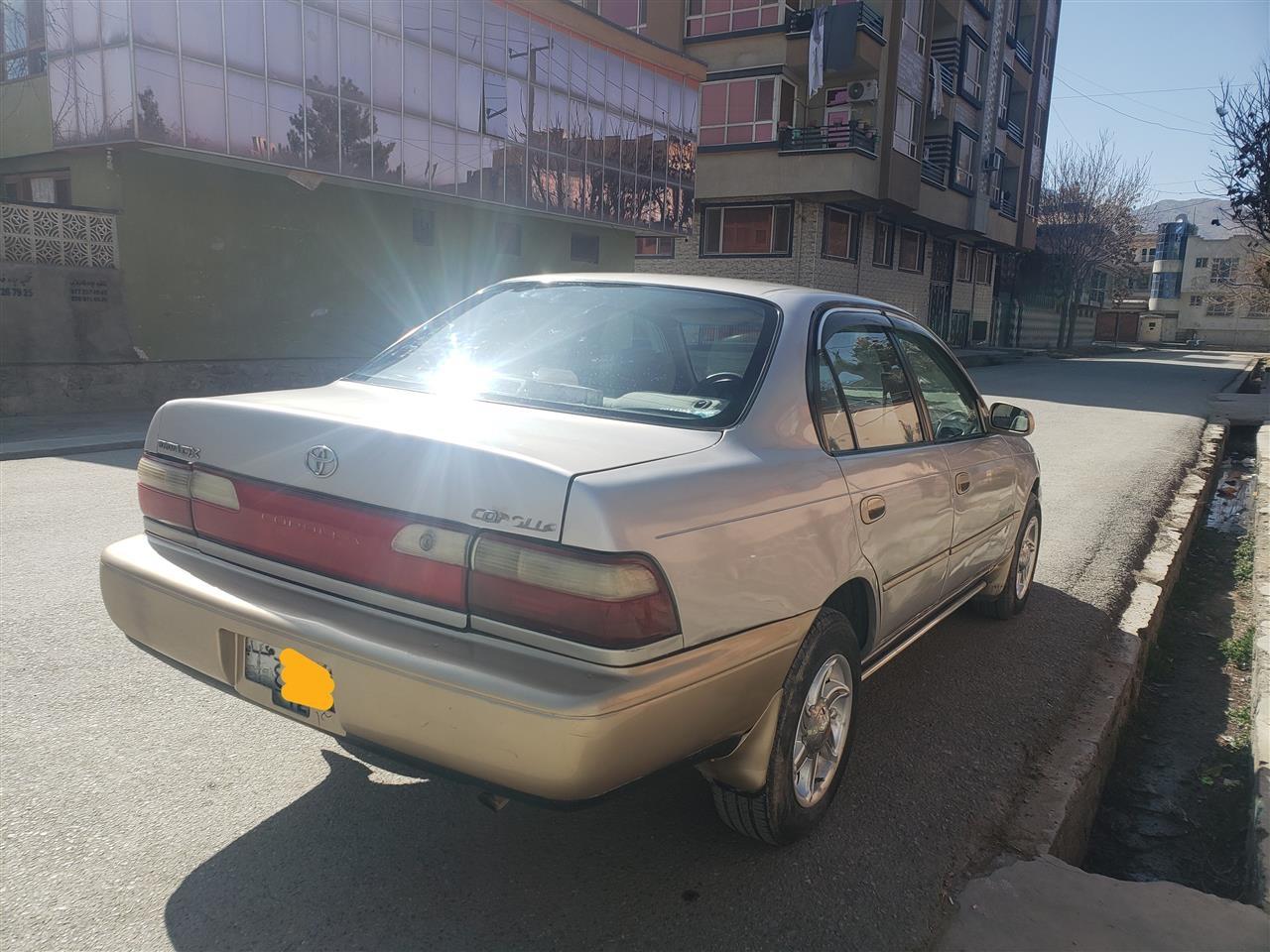 کرولا-کانادایی