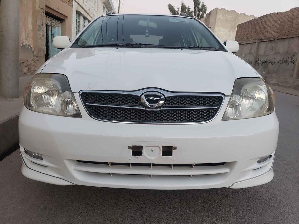دخرڅ-فلدر-روغ-کورنی-چلیدلی