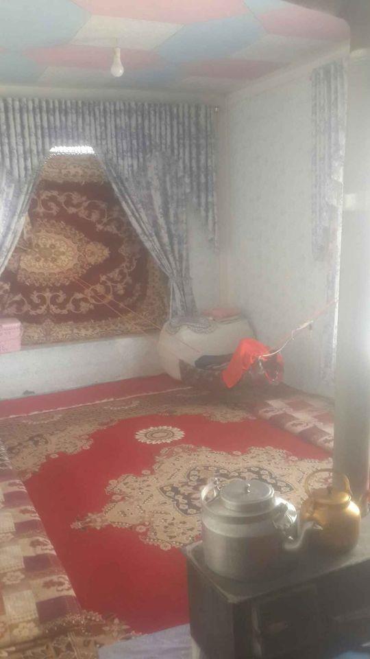 خانه-گروی