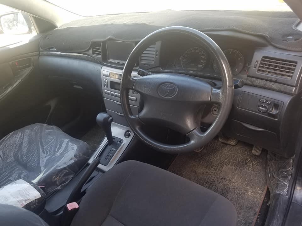 کونى-فلډر-دويش-کاټ