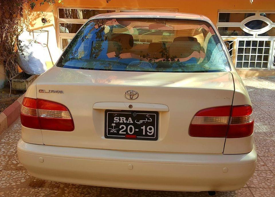دو-دانه-شبپ-خوستی