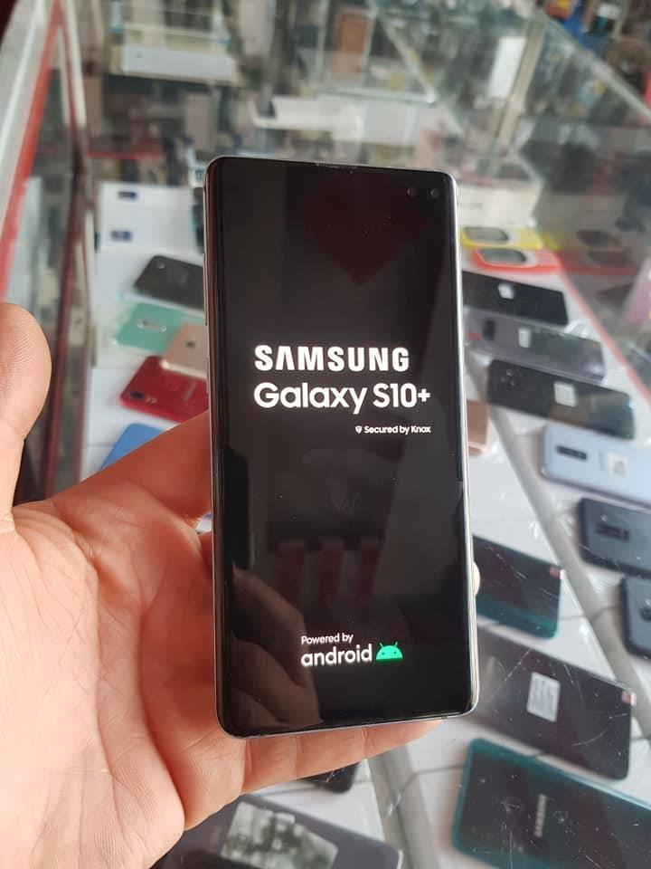 S10-pls