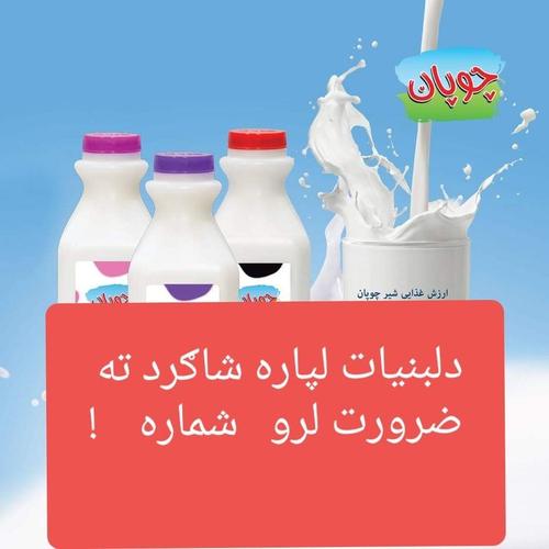 خبرتيا ! يو تن شاګرد ته ضرورت لرو شماره تماس 0705917927