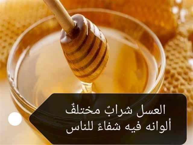 عسل-سدر-اصلي-100-