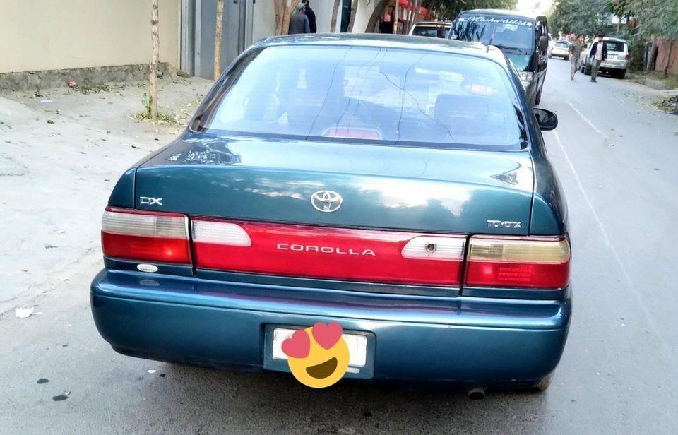 کرولایی-کانادای-0784664648