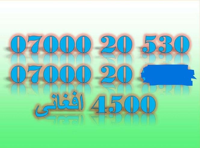 ‎دوی قطعی عکسونه او د تذکیری کافی ضرور دی.