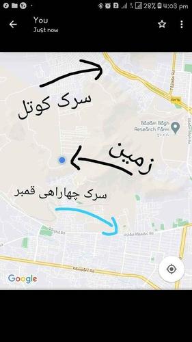 زمین فروشی و مالچه یی