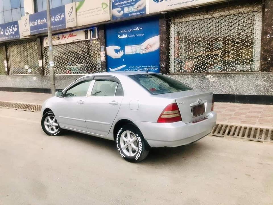 فروش-و-مالچه-0787469061