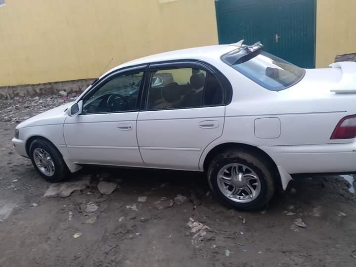 کرولا