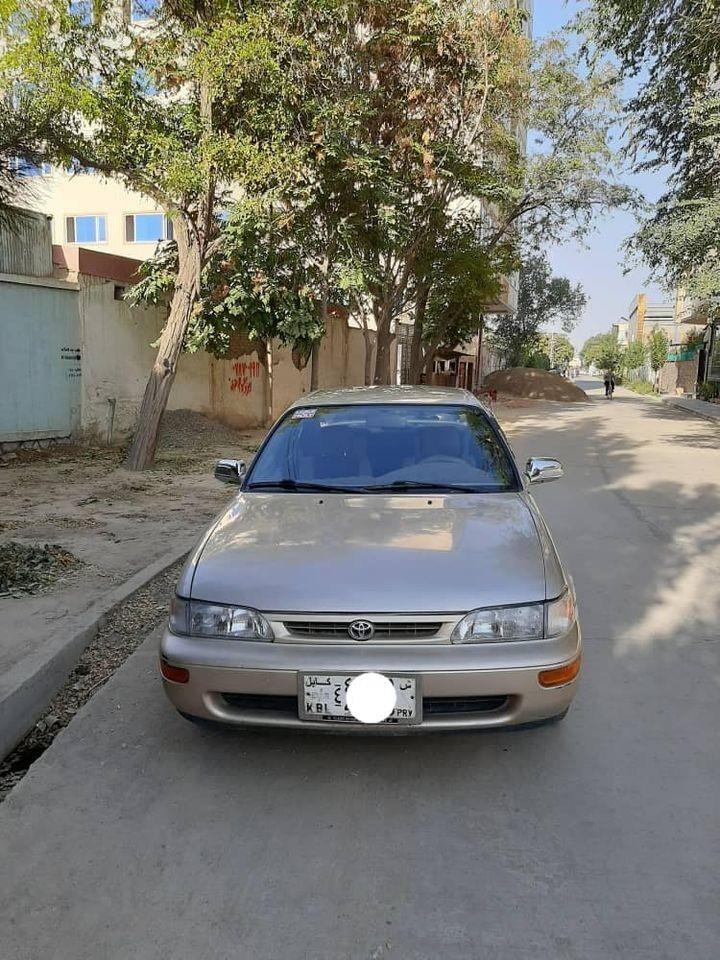 -کرولای-کانادایی-