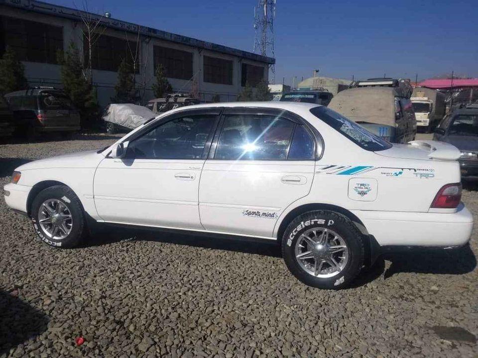 کرولا-کانادایی