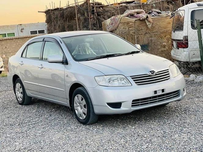 نوى ناواريده دکانټينر دخولى سلور رنګ پوره پورټين لکسل
