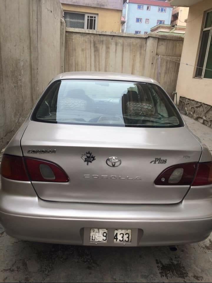کرولای-تو-کانادایی