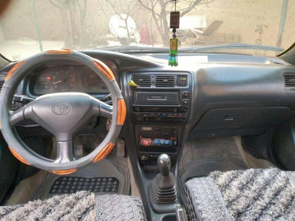 موتر