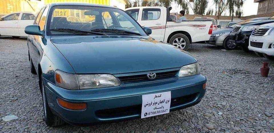 شمیره-0704974244