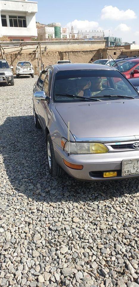 Corolla