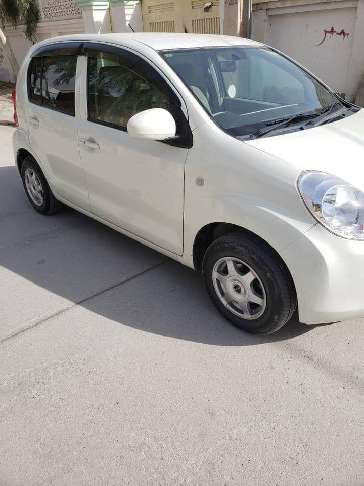 پاسو-ویش-کاټ-2010