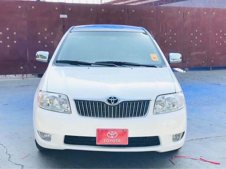 خلیجی-نو-وارد-برای-فروش