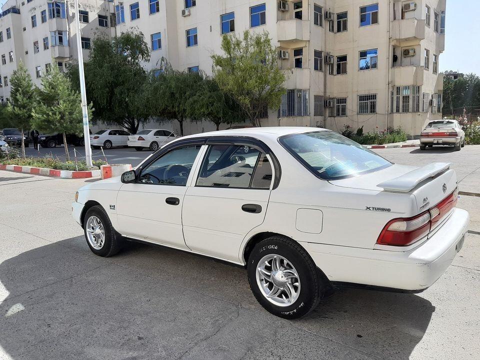 کرولا-کانادایی