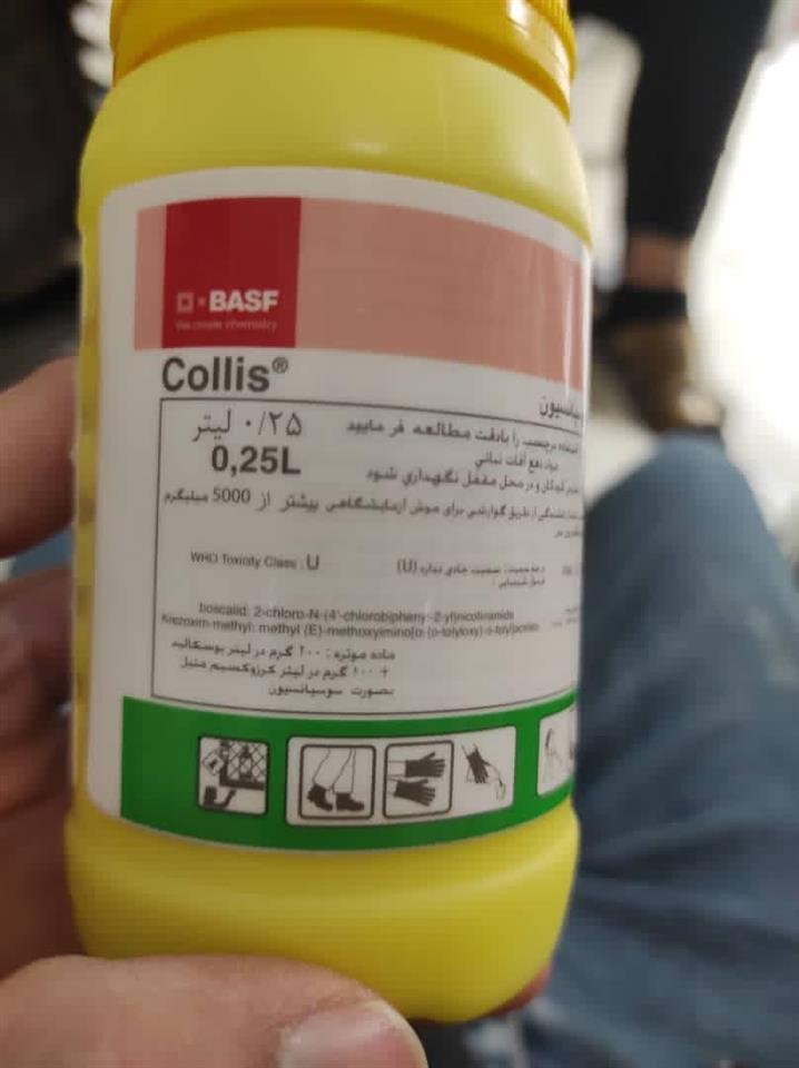 فروش-سم-کولیس
