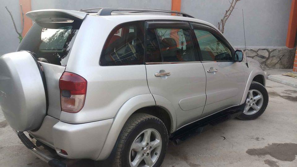 فروش-و-مالچه