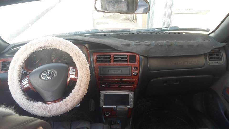 کرولای-کانادایی-جور-امد-دارد