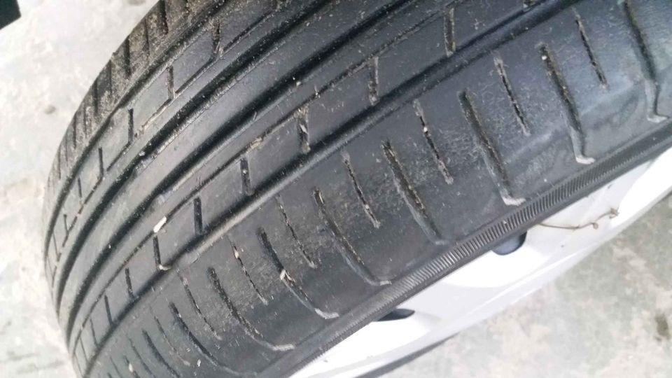 ماکو-نیشان-کمفنی