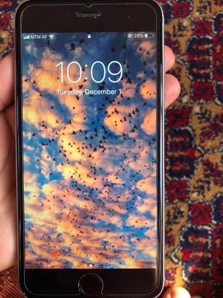 Iphone-6-plus