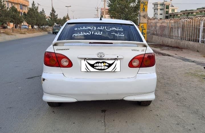 فروش-و-مالچه