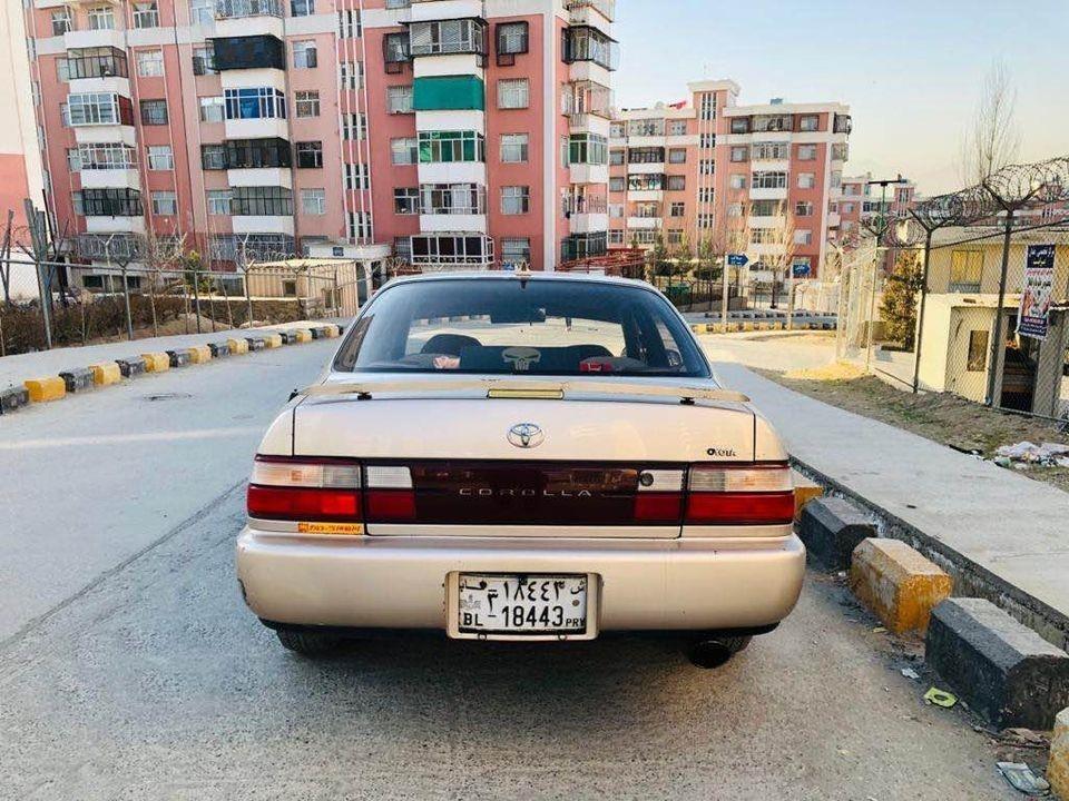 فروش-و-مالچه-0784059050