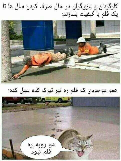 بدون-بند