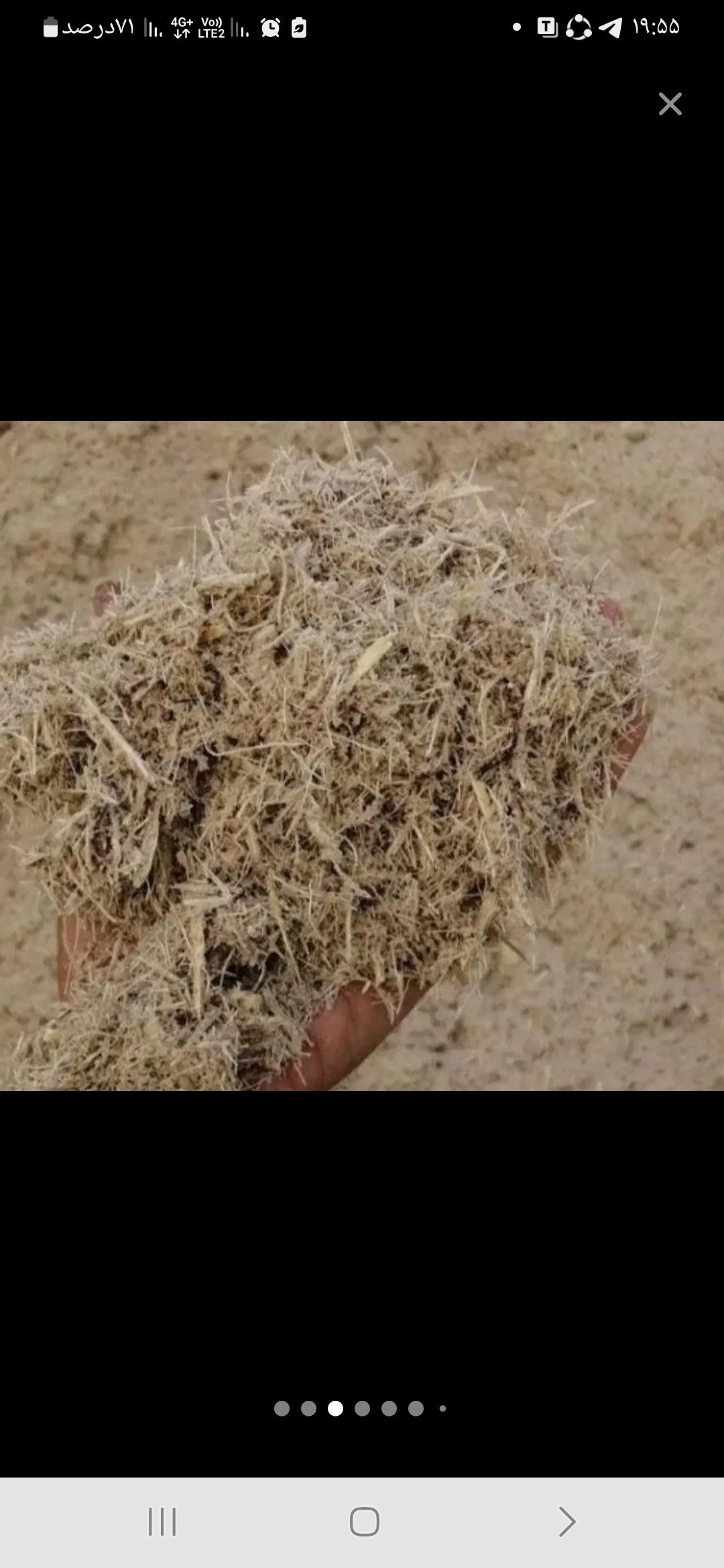 تفاله-نیشکر