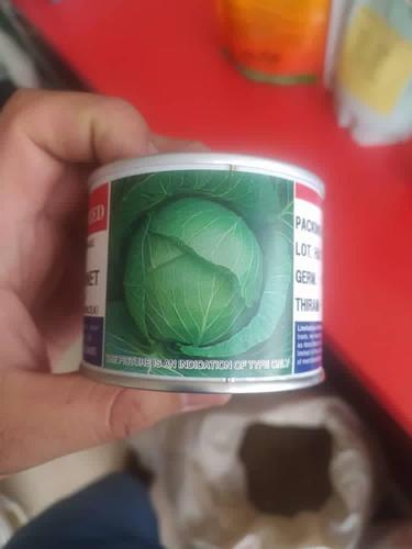 فروش بذر کلم پیچ گرین کورنت تاکی ژاپن