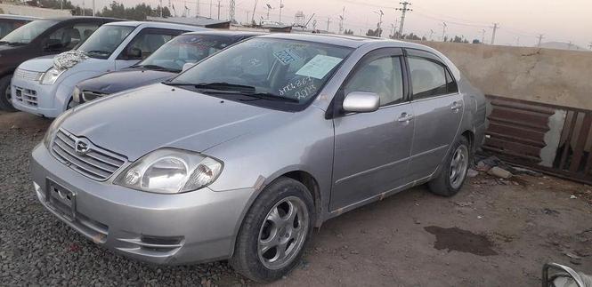 لوکسل سنګاپوری 2003روغه