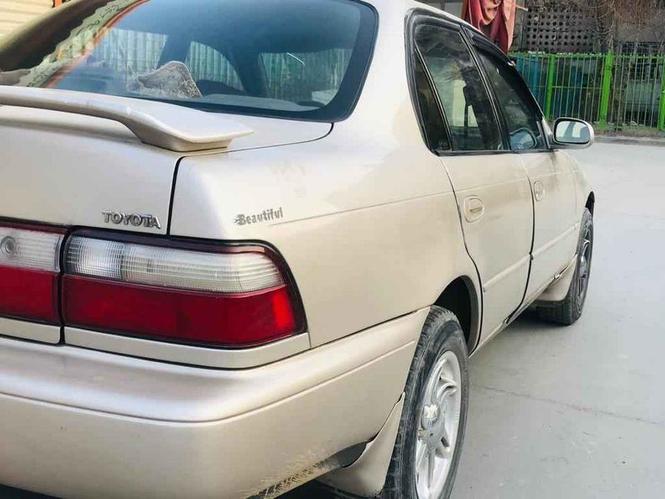 کرولای کانادایی 97