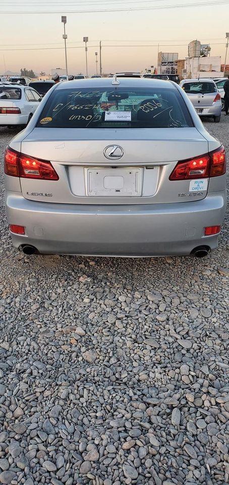 لکسیز-خرس-لپارہڈیر-نوی-دی