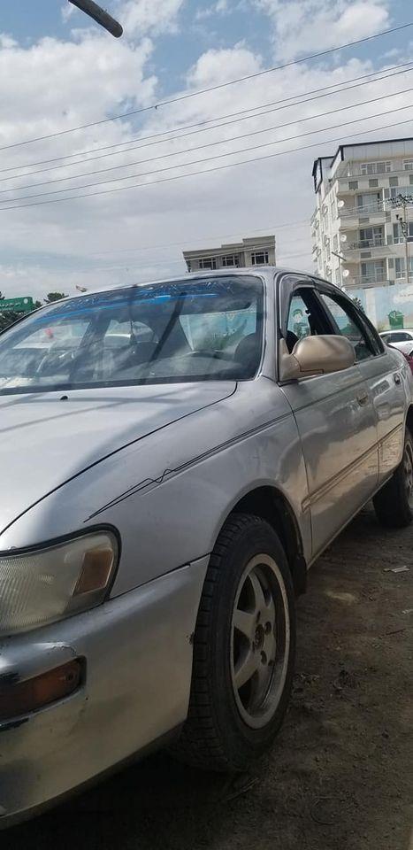 کرولای-خانگی