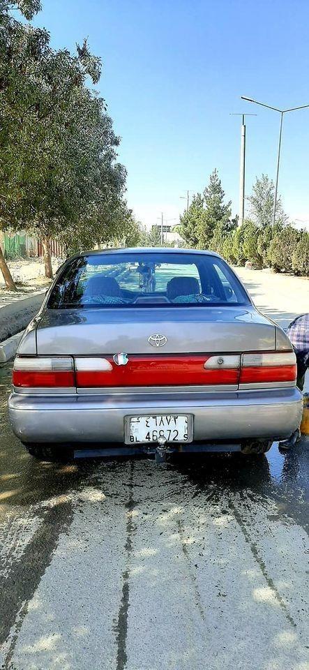 -کرولای-کانادایی-لیبل-به-لیبل-