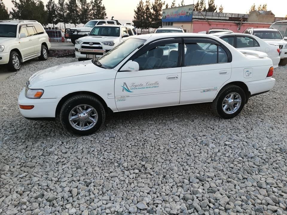 Car95