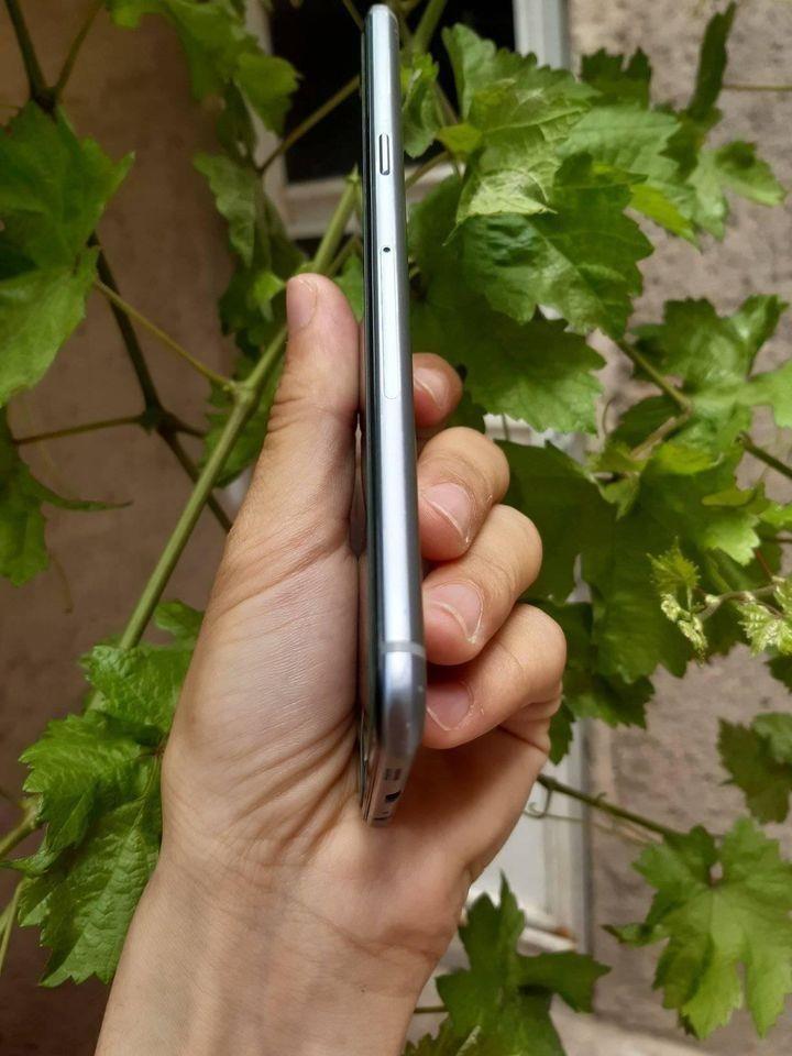فروش-و-مالچه-C5